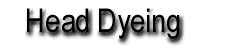 dyeinghead.gif (3781 bytes)